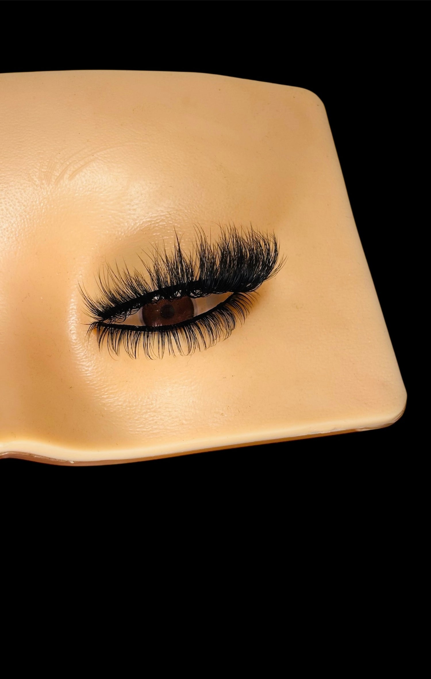 All Lashes