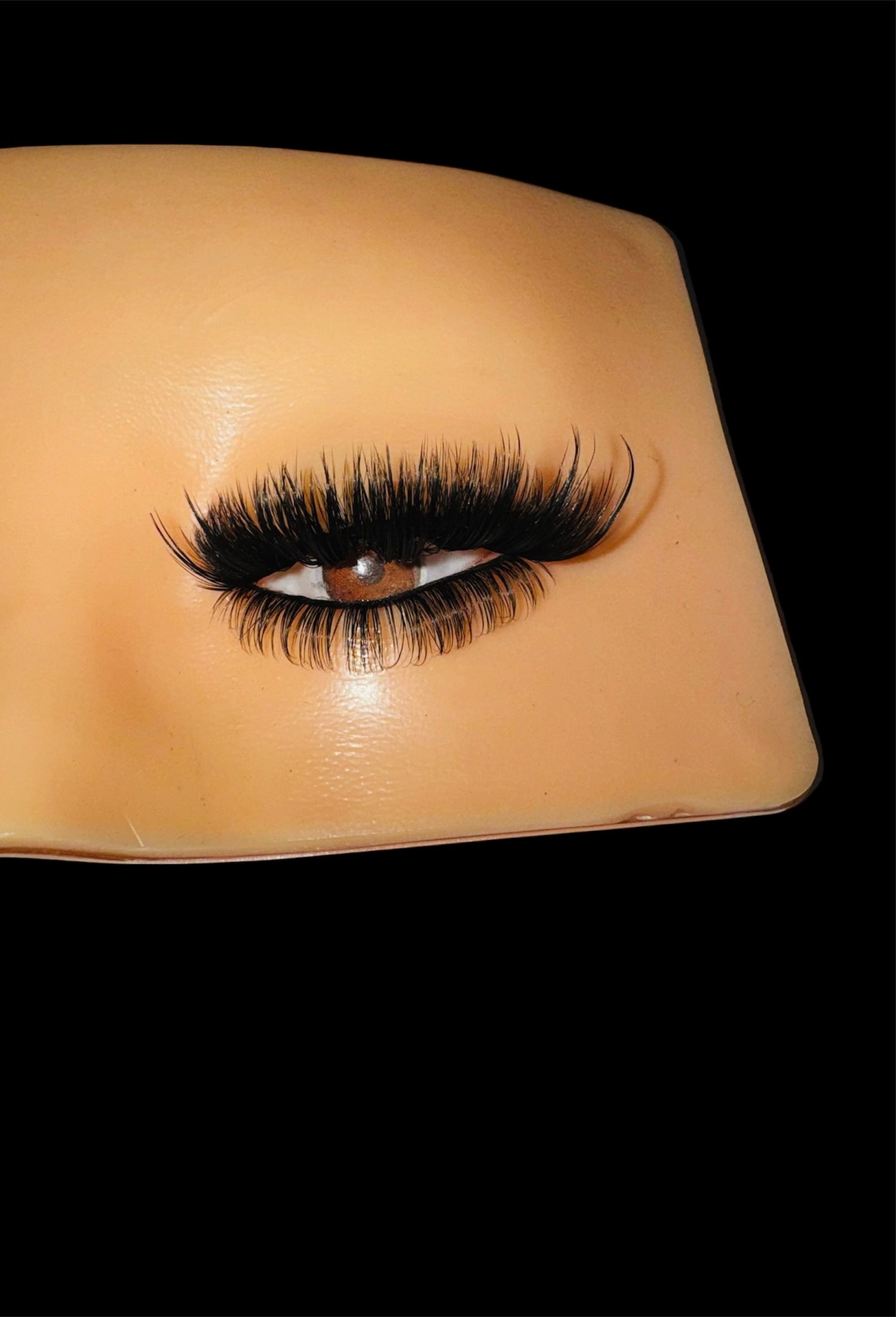 All Lashes